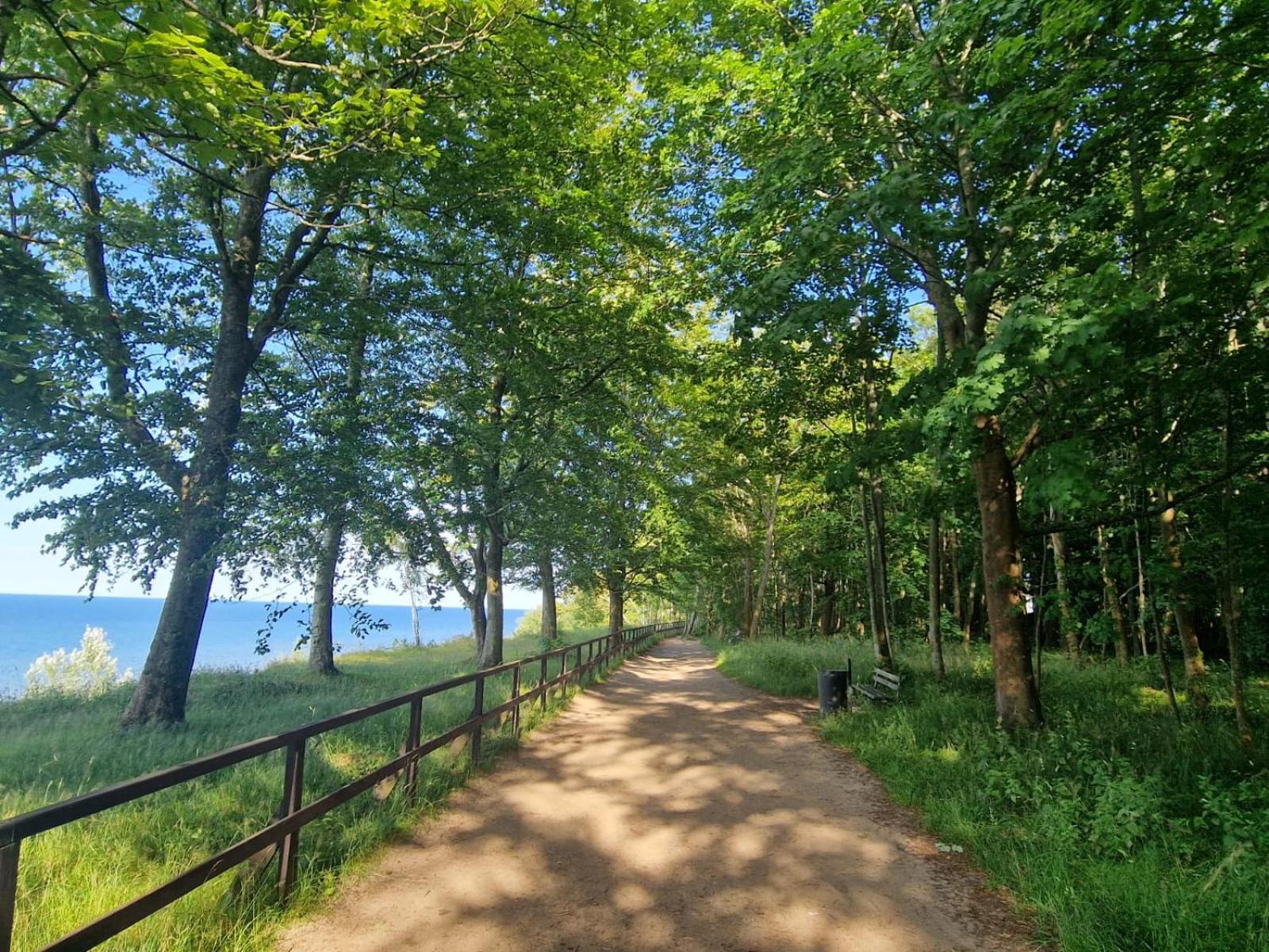 Jastrzębia Góra Osrodek Promenada- Faleza מראה חיצוני תמונה